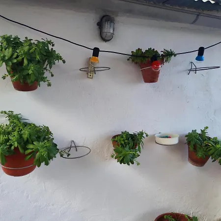 Casa De Pueblo Con Terraza Cerca De Zaragoza Holiday home